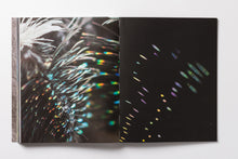 Load image into Gallery viewer, Tomás Saraceno: Oceans of Air