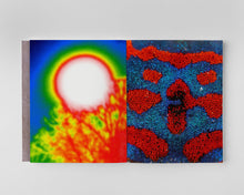 Load image into Gallery viewer, Tomás Saraceno: Oceans of Air