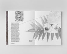 Load image into Gallery viewer, Tomás Saraceno: Oceans of Air