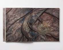 Load image into Gallery viewer, Tomás Saraceno: Oceans of Air