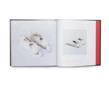 Load image into Gallery viewer, Wim Delvoye Catalogue