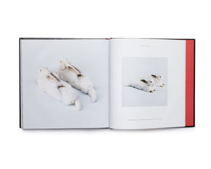 Wim Delvoye Catalogue