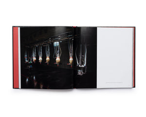 Wim Delvoye Catalogue