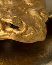 Load image into Gallery viewer, Cane Toad Clutch by Kobja – Gold