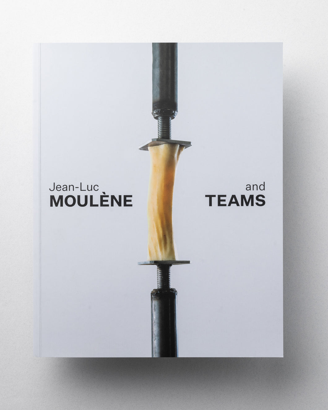 Jean-Luc Moulène and Teams