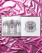 Load image into Gallery viewer, Wim Delvoye Catalogue